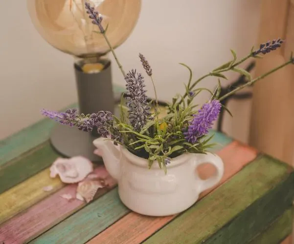 Studio Apartman Ikarka
